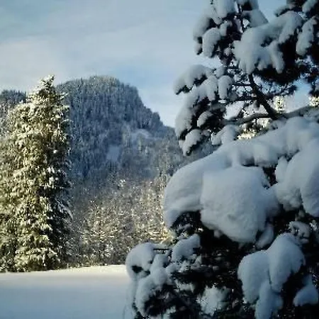 Falkenberg Wh 211 By Interhome Apartment *