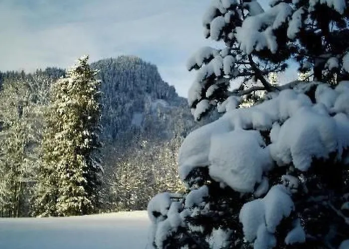 Falkenberg Wh 211 By Interhome Apartment *